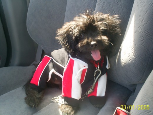 aqui my pelucho tena apenas 3 meses es un amor o no? aqui my pelucho tena apenas 3 meses es un amor o no?